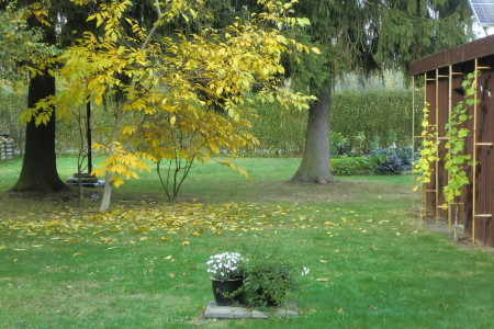 CIMG0069-450